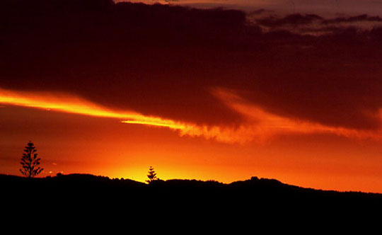 Sunset At Rottnest by Peter Z.jpg