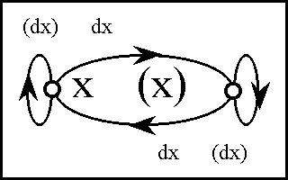 Diff Log Dyn Sys -- Figure 18-d -- Extension from 1 to 2 Dimensions.gif