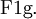 \operatorname{F1g.}