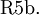 \operatorname{R5b.}