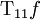 \operatorname{T}_{11}f
