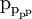 \text{p}_{\text{p}_{\text{p}^\text{p}}}\!