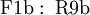 \operatorname{F1b~:~R9b}