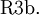 \operatorname{R3b.}