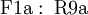 \operatorname{F1a~:~R9a}