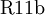 \operatorname{R11b}
