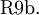 \operatorname{R9b.}