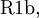 \text{R1b},\!