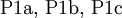 \text{P1a, P1b, P1c}~
