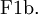 \operatorname{F1b.}