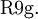 \operatorname{R9g.}