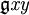 \mathfrak{g}\mathit{x}\mathit{y}