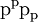 \text{p}^{\text{p}} \text{p}_{\text{p}}\!