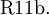 \operatorname{R11b.}