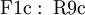 \operatorname{F1c~:~R9c}