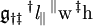 \mathfrak{g}_{\dagger\ddagger} \, ^\dagger\mathit{l}_\parallel \, ^\parallel\mathrm{w} \, ^\ddagger\mathrm{h}