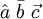 \hat a \ \bar b \ \vec c