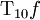 \operatorname{T}_{10}f