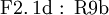 \operatorname{F2.1d~:~R9b}