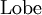 \operatorname{Lobe}