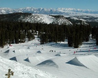 Mammoth