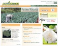 Agrograce.jpg