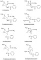 Cocaine Stereoisomers svg.png