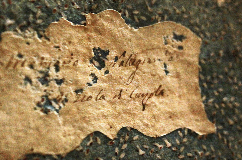 File:Book detail 19th century.jpg
