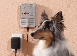 File:Dog Barking Deterrent.jpg