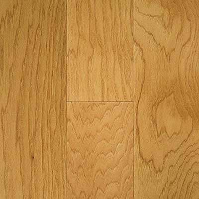 File:Austin Springs Hickory Nat.jpg